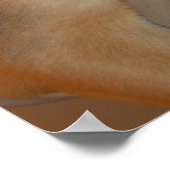 Kerstherder Poster (Hoek)