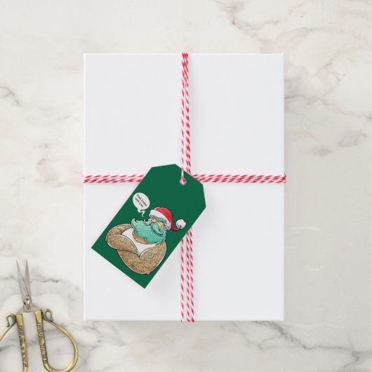 Kersthipsta Santa Claus Cadeaulabel (Met Touw)