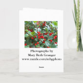 KerstHolly Feestdagen Kaart (Achterkant)