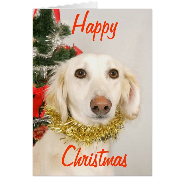 Kersthond 2 (Voorkant)