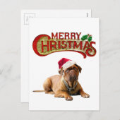 Kersthond Bordeauxdog Feestdagenkaart (Voorkant / Achterkant)