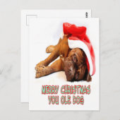 kersthond briefkaart (Voorkant / Achterkant)