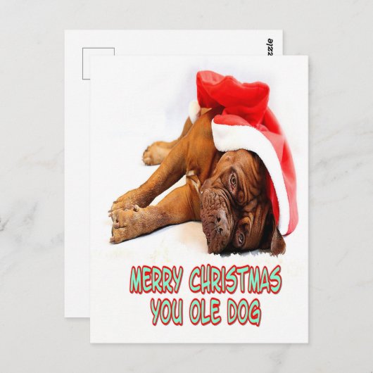 kersthond briefkaart (Voorkant / Achterkant)