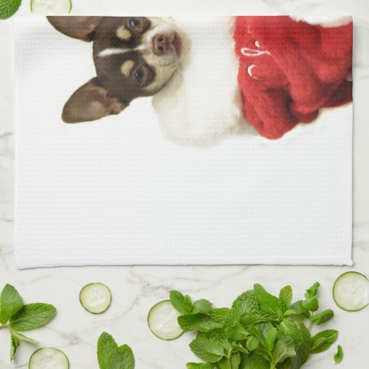 Kersthond Chihuahua Theedoek (Gevouwen)