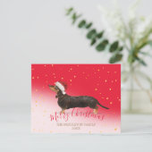 Kersthond Dachshund Gold Red Seizoensgebonden groe (Staand voorkant)