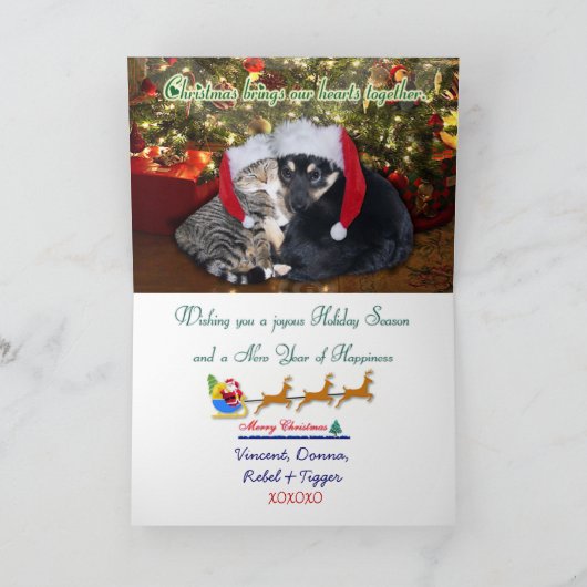 Kersthond en kat feestdagen kaart (Binnen)