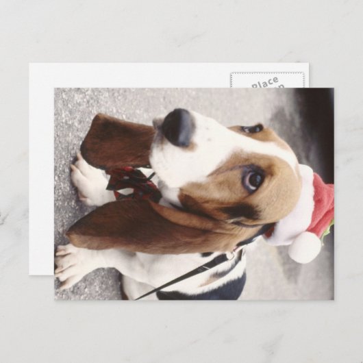 kersthond feestdagenkaart (Voorkant / Achterkant)