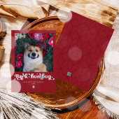 Kersthond Foto Grappige Kerstmis Feestdagenkaart