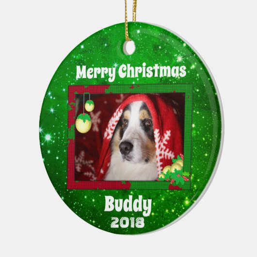 Kersthond foto naam: groen keramisch ornament (Links)