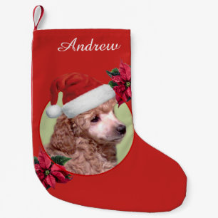 Kersthond gepersonaliseerd in het uitzetten kleine kerstsok
