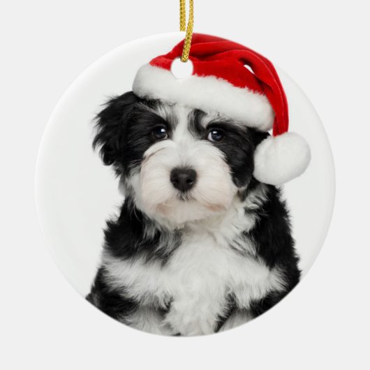 Kersthond Havanese Puppy Dog Keramisch Ornament (Voorkant)
