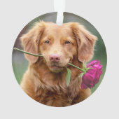 Kersthond huisdier foto ornament (achterkant)