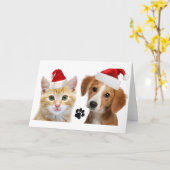 Kersthond Kat Schattigee Huisdieren Kerstvakantie Kaart (Gele Bloem)
