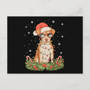 Kersthond Pinscher Kerstmis Kerstman Hoed Vakantie Feestdagenkaart