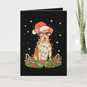 Kersthond Pinscher Kerstmis Kerstman Hoed Vakantie Kaart