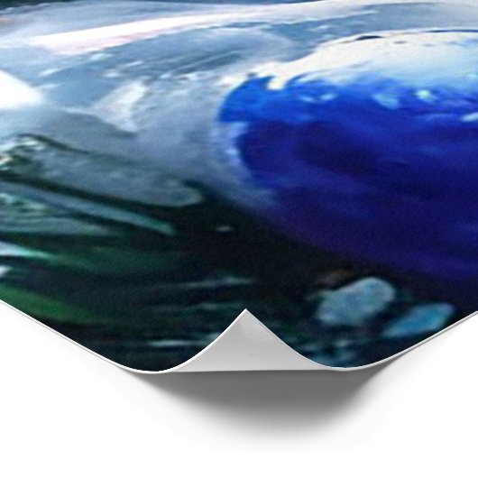 kersthond poster (Hoek)