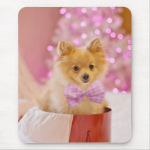 Kersthond Puppycadeau