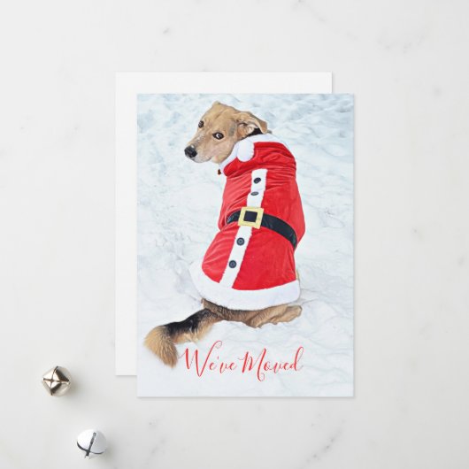 kersthond verplaatsen in sneeuwrood Suite Feestdagenkaart (Voorkant / Achterkant in situ)