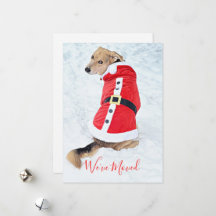 kersthond verplaatsen in sneeuwrood Suite