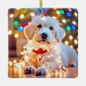 Kersthond verstrikt in lichten keramisch ornament (Voorkant)