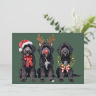 Kersthond Zwart Goldendoodle Doodle Moeder Winter Feestdagenkaart