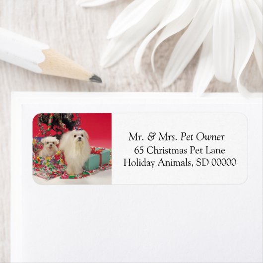 Kersthonden SelfAdhesive Return Address Sticker (Insitu)