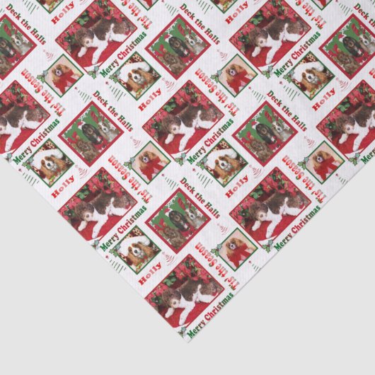 kerstHondenliefhebbers koning Charles en Doodle Tissuepapier (Detail)
