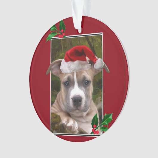 Kersthondenpels Ornament (voorkant)