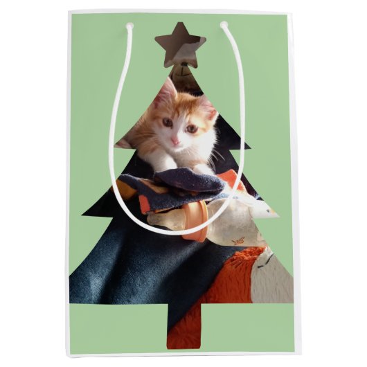 Kersthuisdierfoto medium cadeauzakje (Voorkant)