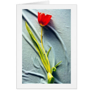 Kerstin's Red Tulip Kaart