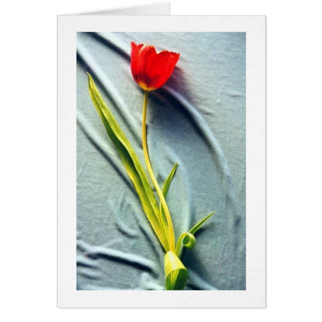 Kerstin's Red Tulip Kaart (Voorkant)