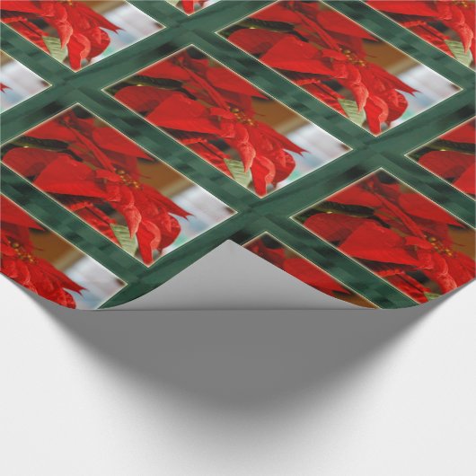 kerstinsettia pakpapier (Hoek)