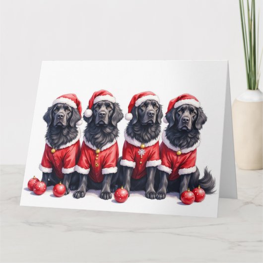 Kerstjurk voor Newfoundlander met kerstmuts Kaart (Voorkant)