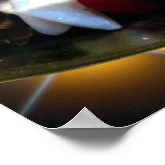 kerstkaarsdeklaag poster (Hoek)