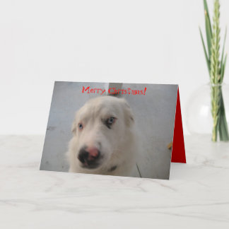 kerstkaart 07 feestdagen kaart