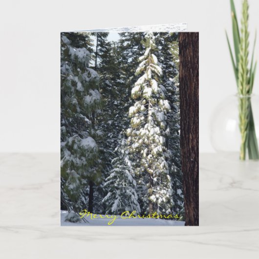 Kerstkaart 2006 feestdagen kaart (Voorkant)