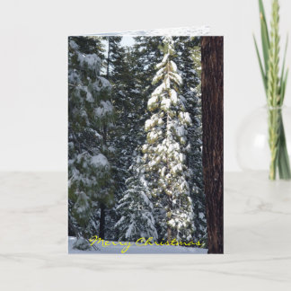 Kerstkaart 2006 feestdagen kaart