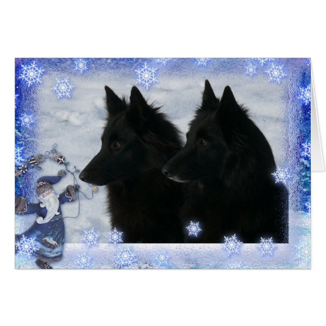 Kerstkaart 2 Groenendaelers (Voorkant Horizontaal)