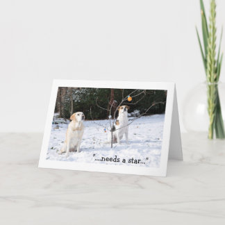 Kerstkaart, 2 honden in sneeuw die boom bekijken feestdagen kaart