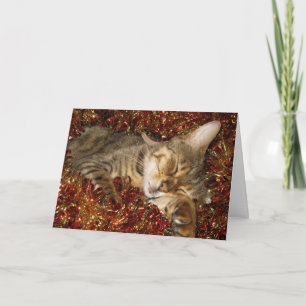 Kerstkaart - Bengaalse kat Feestdagen Kaart