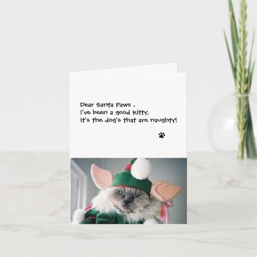 Kerstkaart - Beste Sint Paws Feestdagen Kaart (Voorkant)