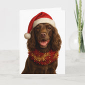 Kerstkaart Bruine / Lever Cocker Spaniel Kaart (Voorkant)