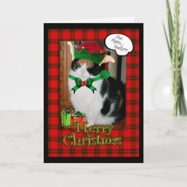 Kerstkaart, chagrijnige kat feestdagen kaart