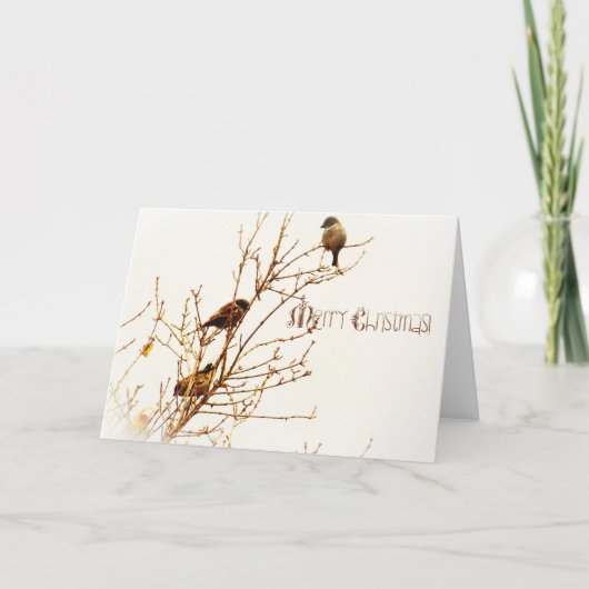 Kerstkaart - Christmas Card - Merry Christmas! Feestdagen Kaart (Voorkant)