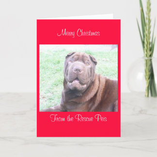 Kerstkaart_cr, Vrolijk kerstfeest uit Wallace Feestdagen Kaart