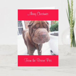 Kerstkaart_cr, Vrolijk kerstfeest uit Wallace Feestdagen Kaart