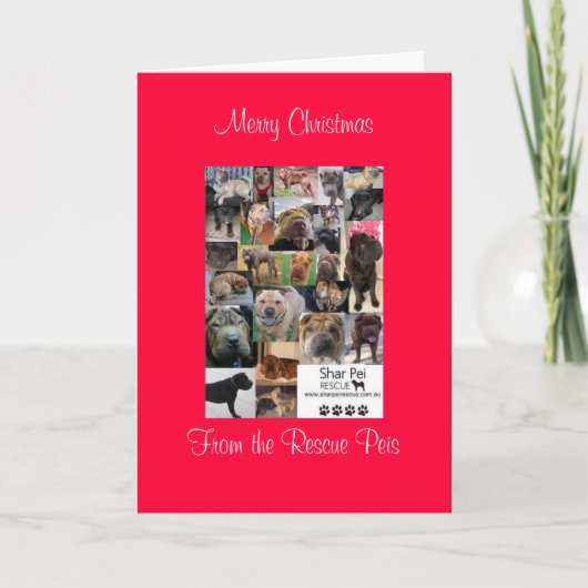 Kerstkaart_cr, Vrolijk Kerstfeest Van De Redding P Feestdagen Kaart (Voorkant)