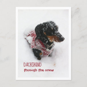 Kerstkaart - Dachshund Door De Sneeuw Briefkaart