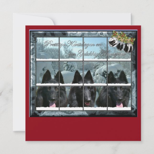 Kerstkaart de 3 groenendaelers (Voorkant)