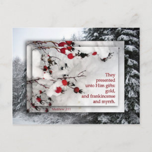 Kerstkaart de "Gift van God " Feestdagenkaart